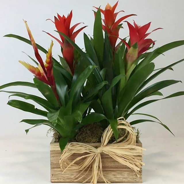 Contacte con Galería Tienda-Jardín