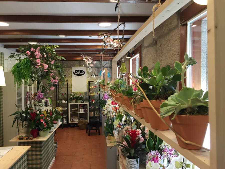 Floristería Galería Tienda-Jardín