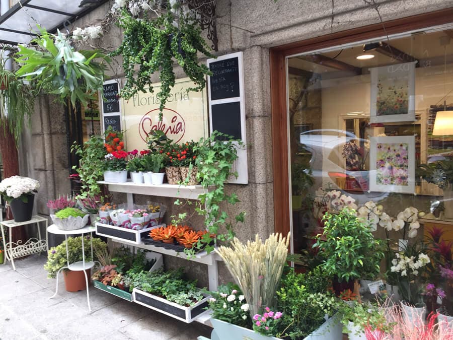 Floristería Galería Tienda-Jardín