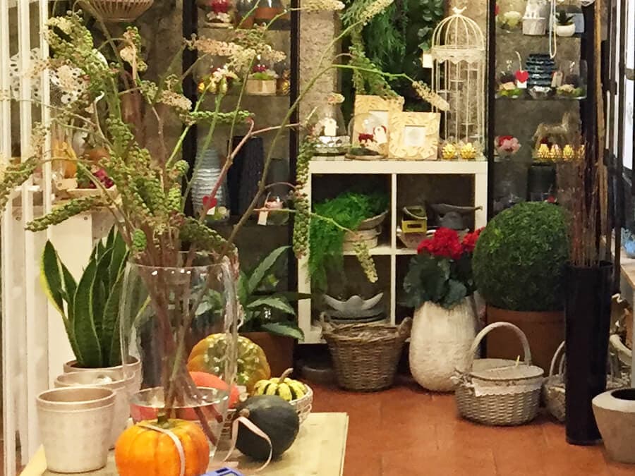 Floristería Galería Tienda-Jardín