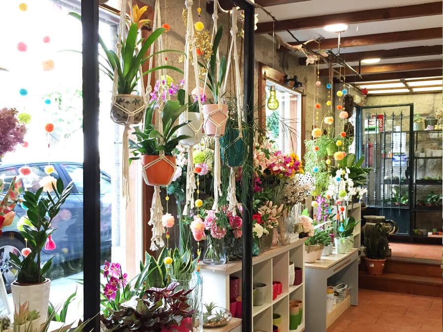 Floristería Galería Tienda-Jardín