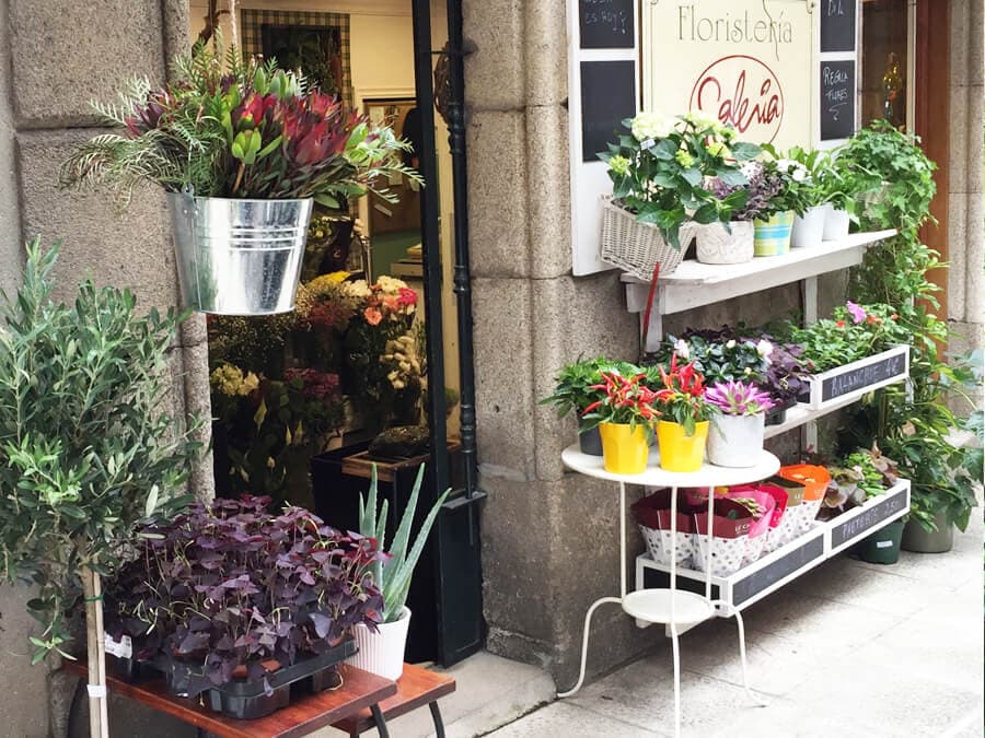 Floristería Galería Tienda-Jardín