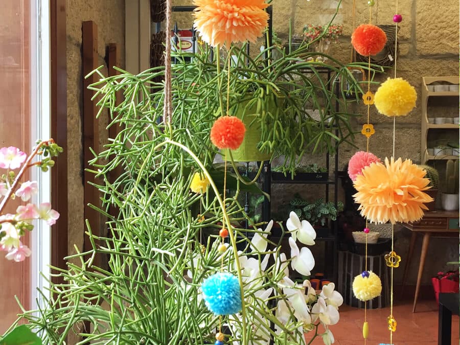 Floristería Galería Tienda-Jardín